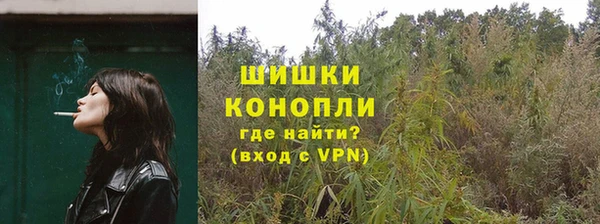 крисы Сосновоборск
