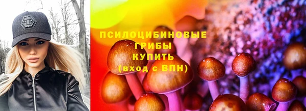 дмт Баксан