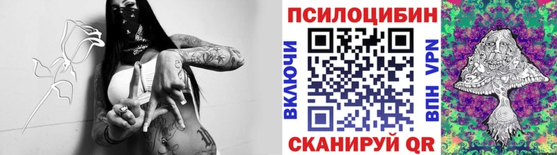 как найти закладки  Верхнеуральск  Галлюциногенные грибы Psilocybine cubensis 
